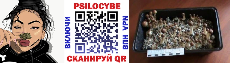 Галлюциногенные грибы Cubensis  hydra рабочий сайт  площадка наркотические препараты  Канаш 