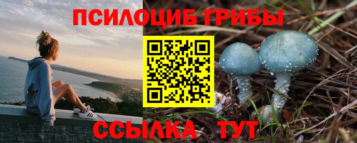 Псилоцибиновые грибы прущие грибы Канаш