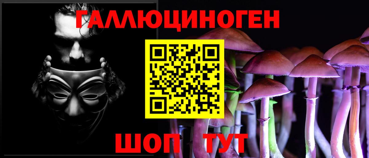 Псилоцибиновые грибы прущие грибы  Псилоцибиновые грибы Psilocybe  Вход с VPN  Канаш 