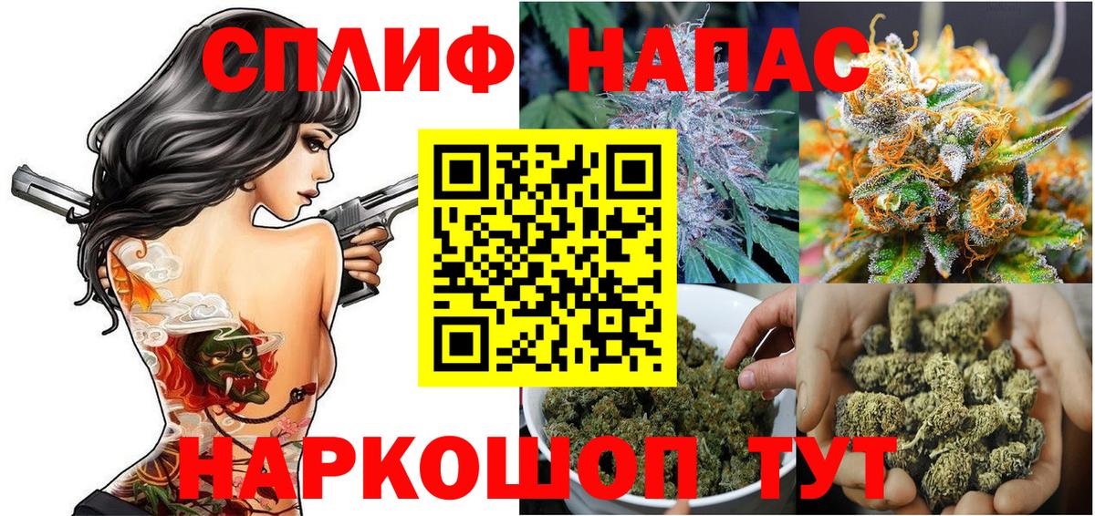 Марихуана сатива Канаш